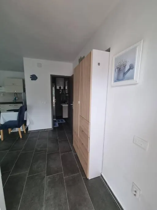 Studio Apartment Leni Banjole 0*,